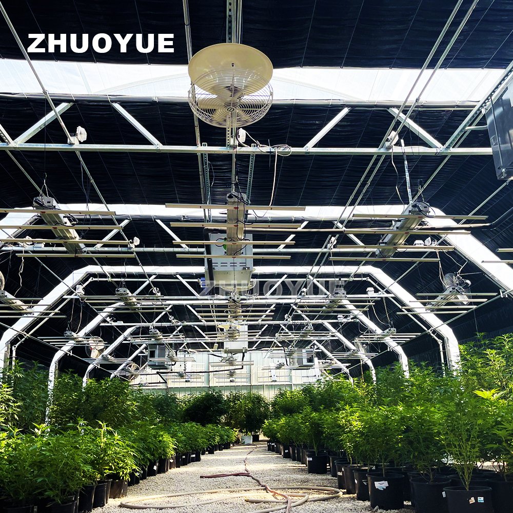 CUOYUEH Automated 100% Light Deprivation Greenhouse Blackout Plastic Greenhouse for Medical Plants And mushroom growing kit