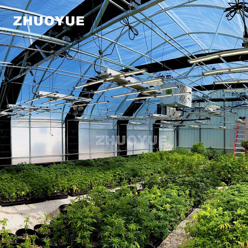 CUOYUEH Automated 100% Light Deprivation Greenhouse Blackout Plastic Greenhouse for Medical Plants And mushroom growing kit
