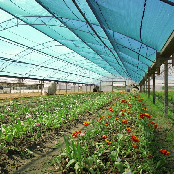 Factory 90-125gsm Sun Shade Net for Greenhouse Backyard Agricultural Net Shade