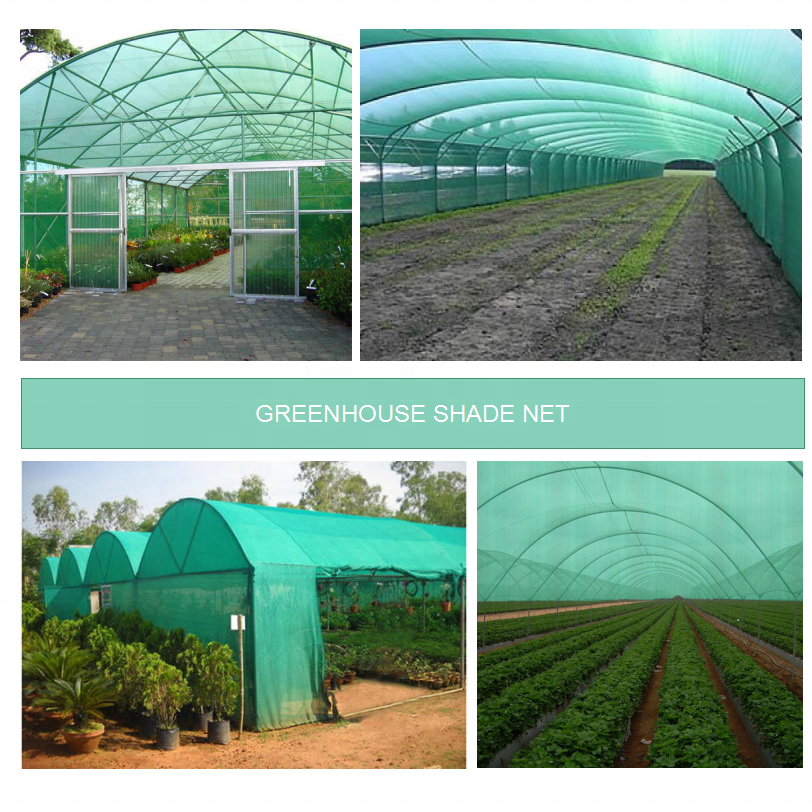 Factory 90-125gsm Sun Shade Net for Greenhouse Backyard Agricultural Net Shade