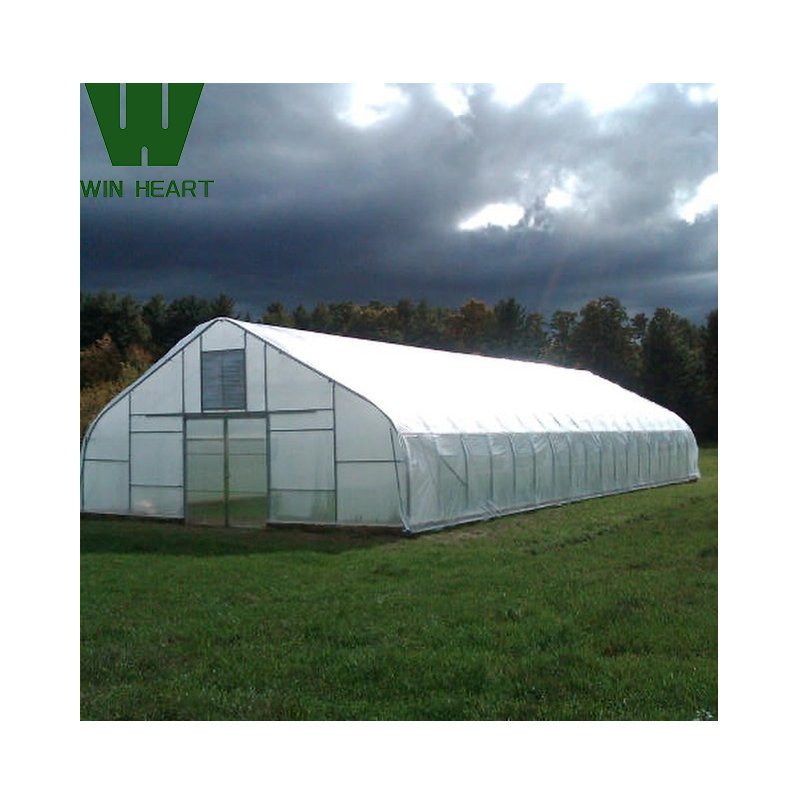 Climate Controlled agricultural greenhouses container farming greenhouses