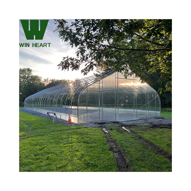 Climate Controlled agricultural greenhouses container farming greenhouses