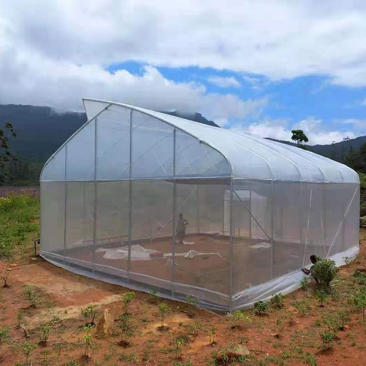 Hot Sale Sri Lanka Greenhouse Insect Net Top Ventilation Sawtooth Greenhouse For Tropical