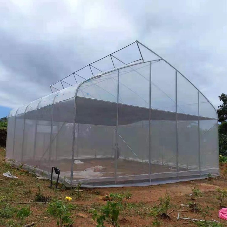 Hot Sale Sri Lanka Greenhouse Insect Net Top Ventilation Sawtooth Greenhouse For Tropical