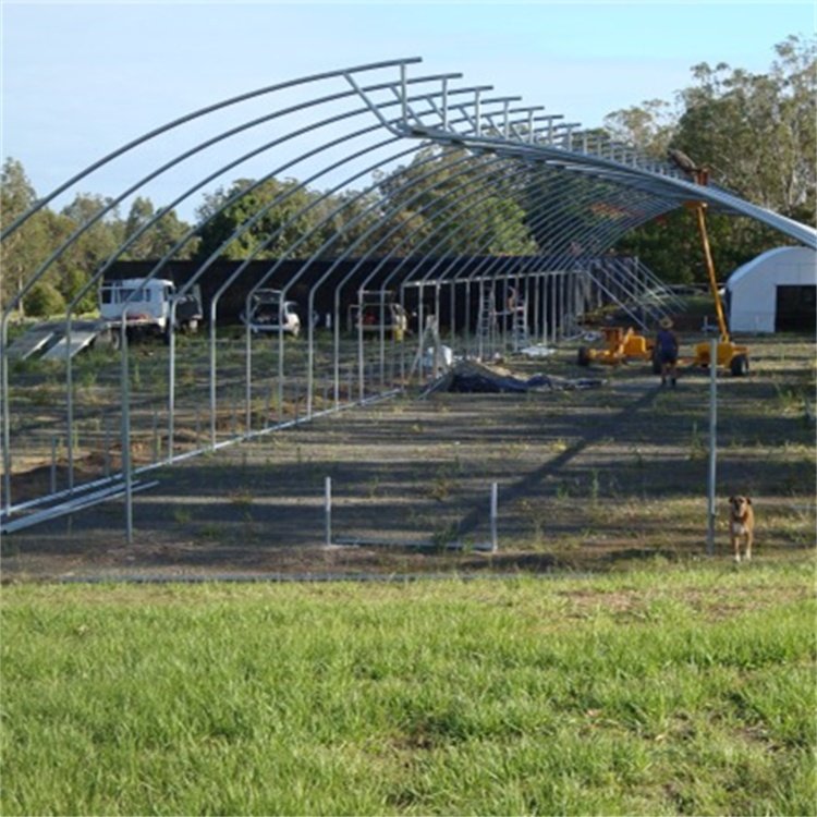 Hot Sale Sri Lanka Greenhouse Insect Net Top Ventilation Sawtooth Greenhouse For Tropical