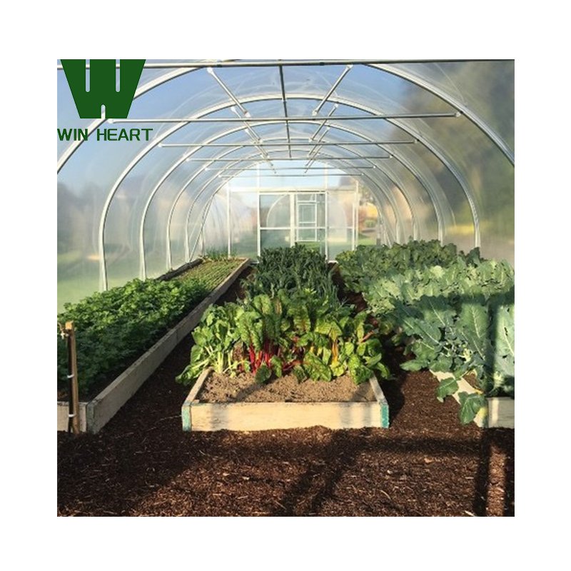 Plastic shed tunnel green houses with kits