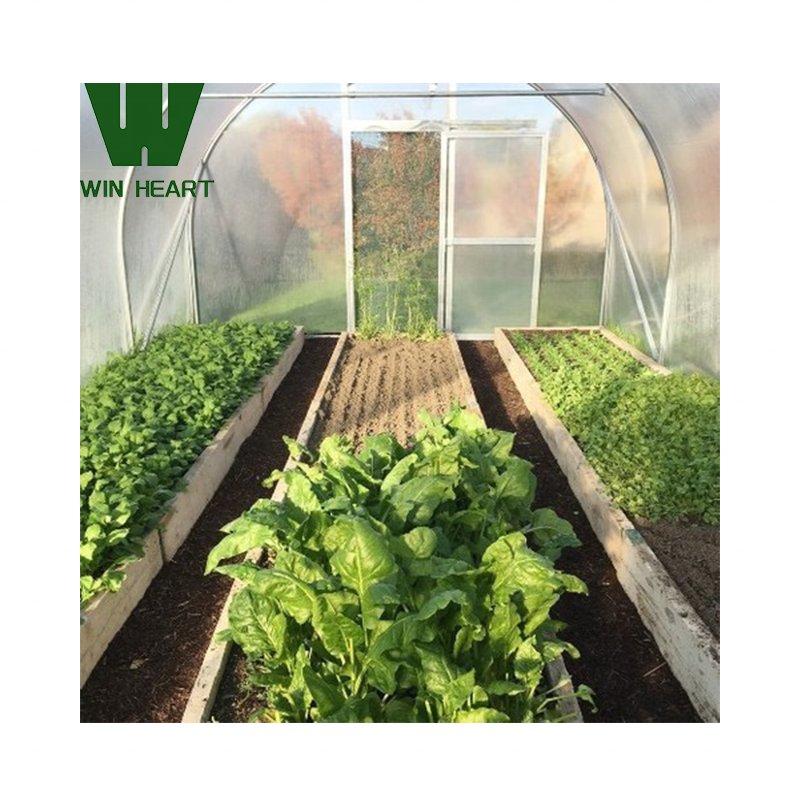 Plastic shed tunnel green houses with kits