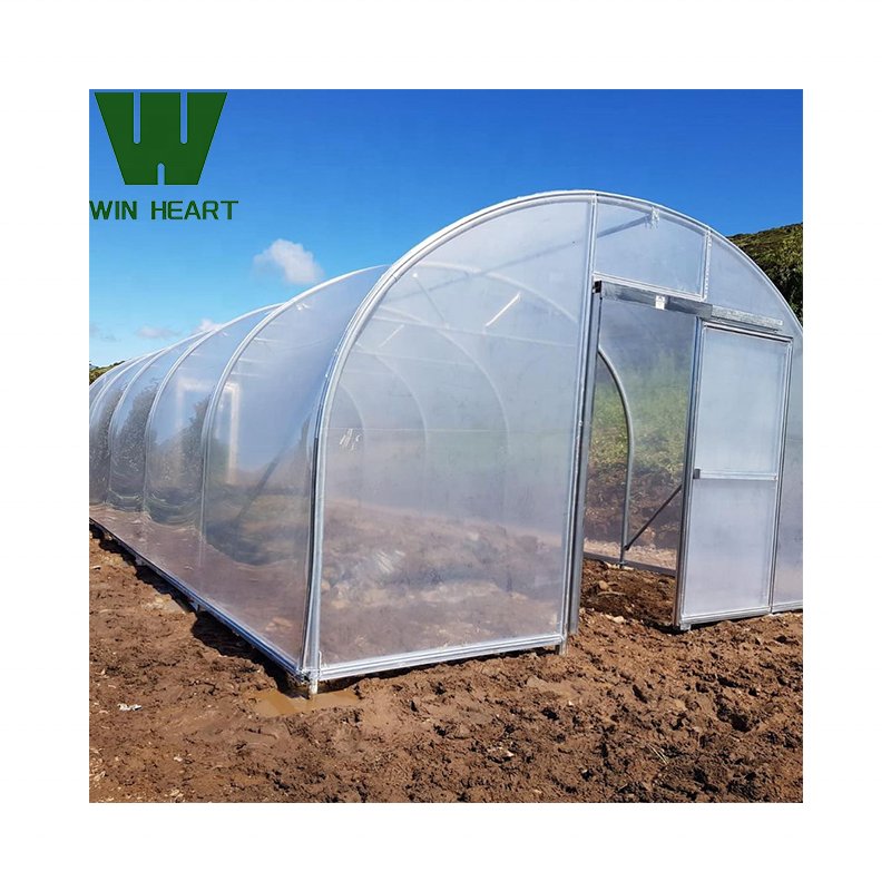 Plastic shed tunnel green houses with kits