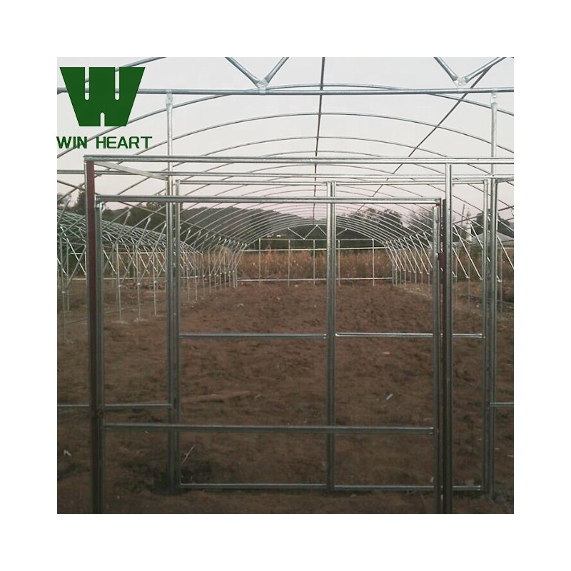 Plastic shed tunnel green houses with kits