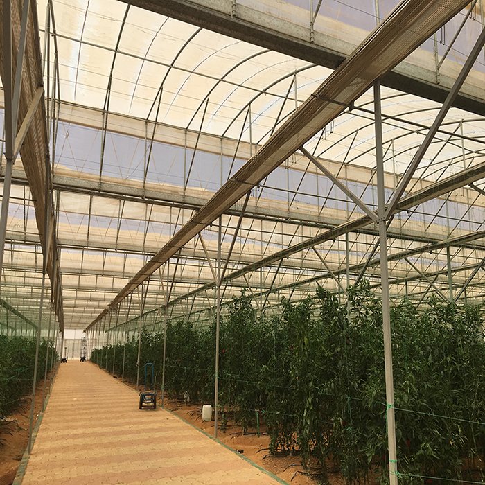 Professional Reinforced Greenhouse Film Agricultural Film For Greenhouse