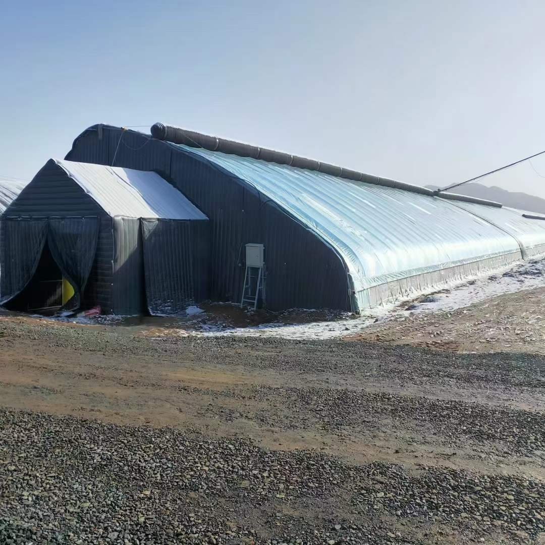 300 Square Meter Single Span Tunnel Vegetable Greenhouse Low Cost Agricultural Tunnel Greenhouse for Sale