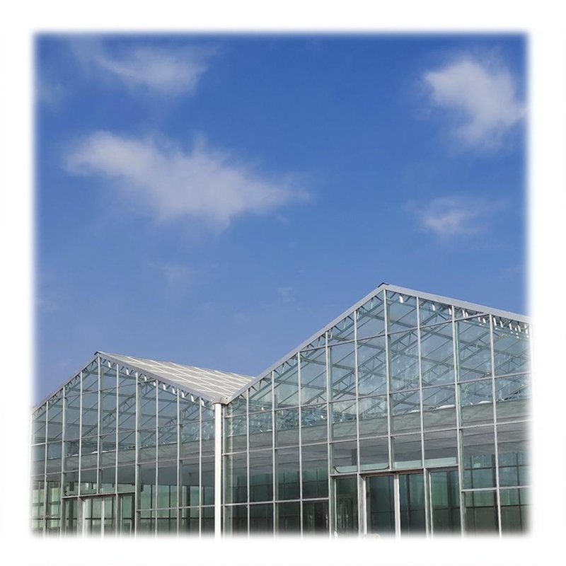 tempered glass greenhouse with hydroponic system for tomato and cucumber