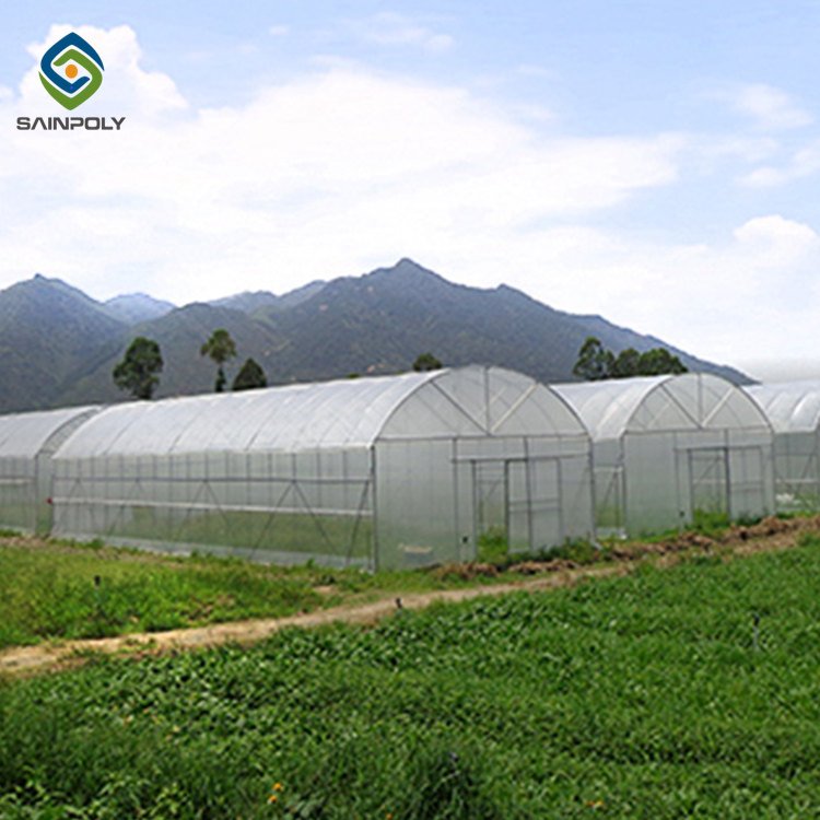 Sainpoly Hot Sale Agricultural Tunnel Greenhouse Design for Growing