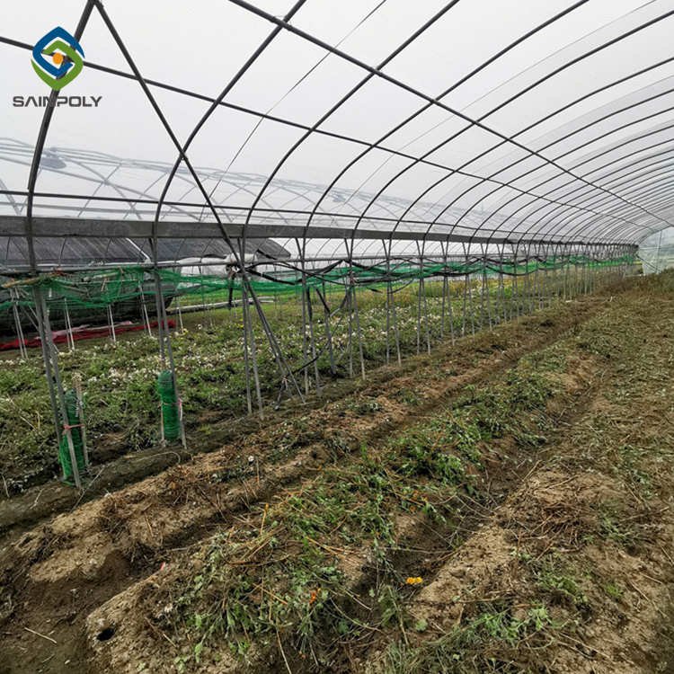Sainpoly Hot Sale Agricultural Tunnel Greenhouse Design for Growing