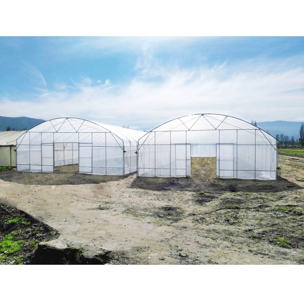Professional manufacturers Agriculture intelligent film greenhouse Single span PE Film greenhouses