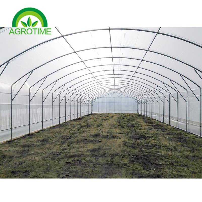 Professional manufacturers Agriculture intelligent film greenhouse Single span PE Film greenhouses