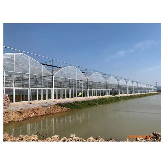 Low cost multi span agricultural greenhouse , plastic film green house