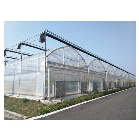 Low cost multi span agricultural greenhouse , plastic film green house