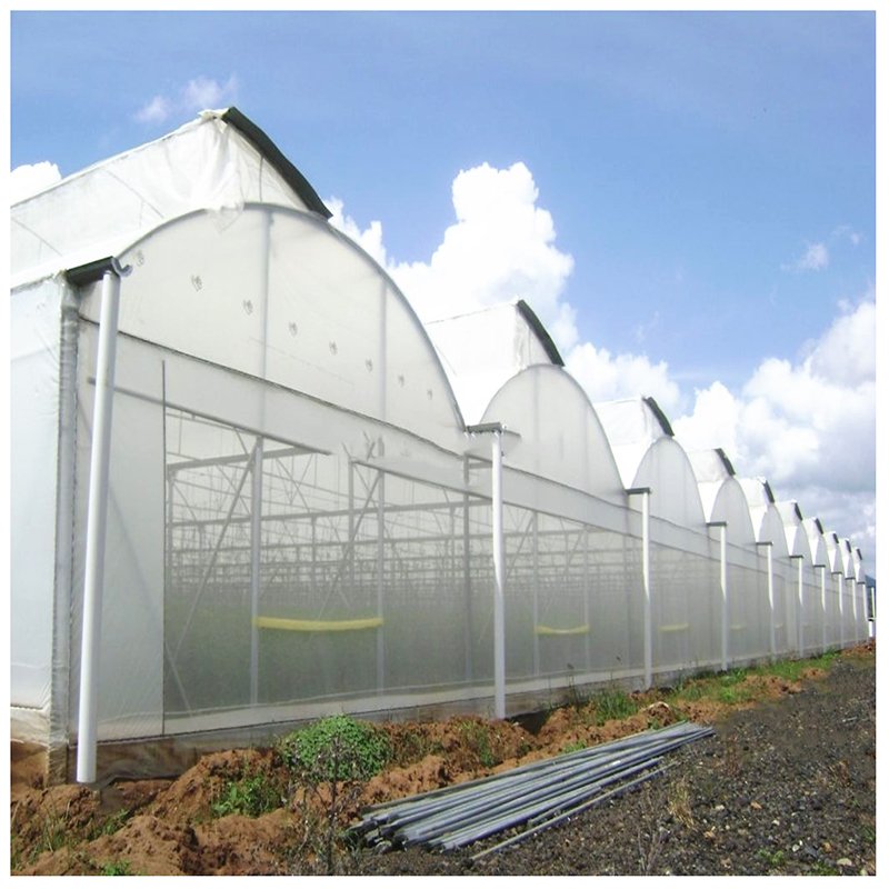 Low cost multi span agricultural greenhouse , plastic film green house