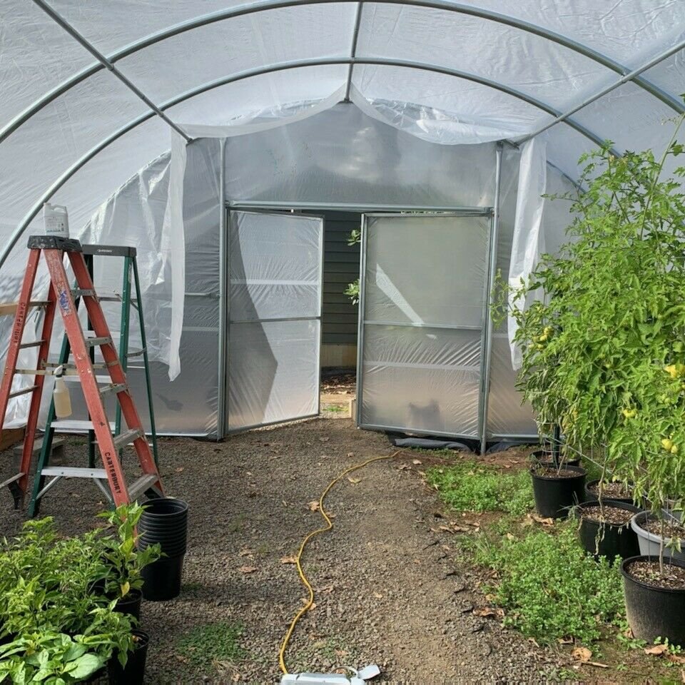 8x30 meter Strawberry Tomato Vegetable Fruit Green House Economic High Quality Clear Plastic Film Tunnel Greenhouse For Sale
