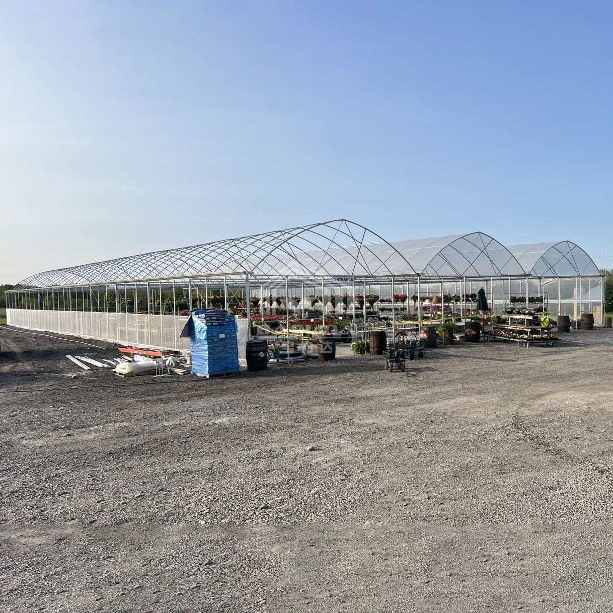 Baolida agricultural vegetable green house multi-span tomato greenhouse for fruits flower