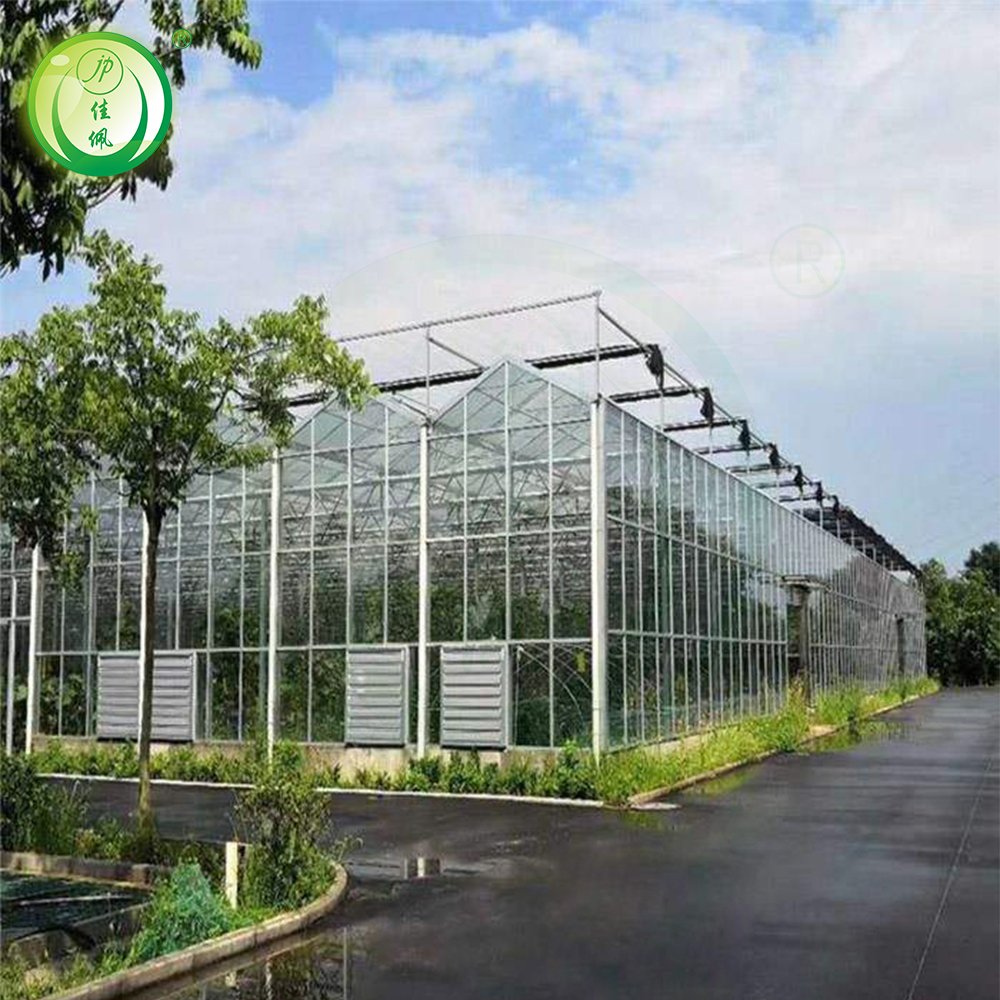 JIAPEI Large Agriculture Multi-Span Greenhouse with Motor Ventilation for Vegetable Growing