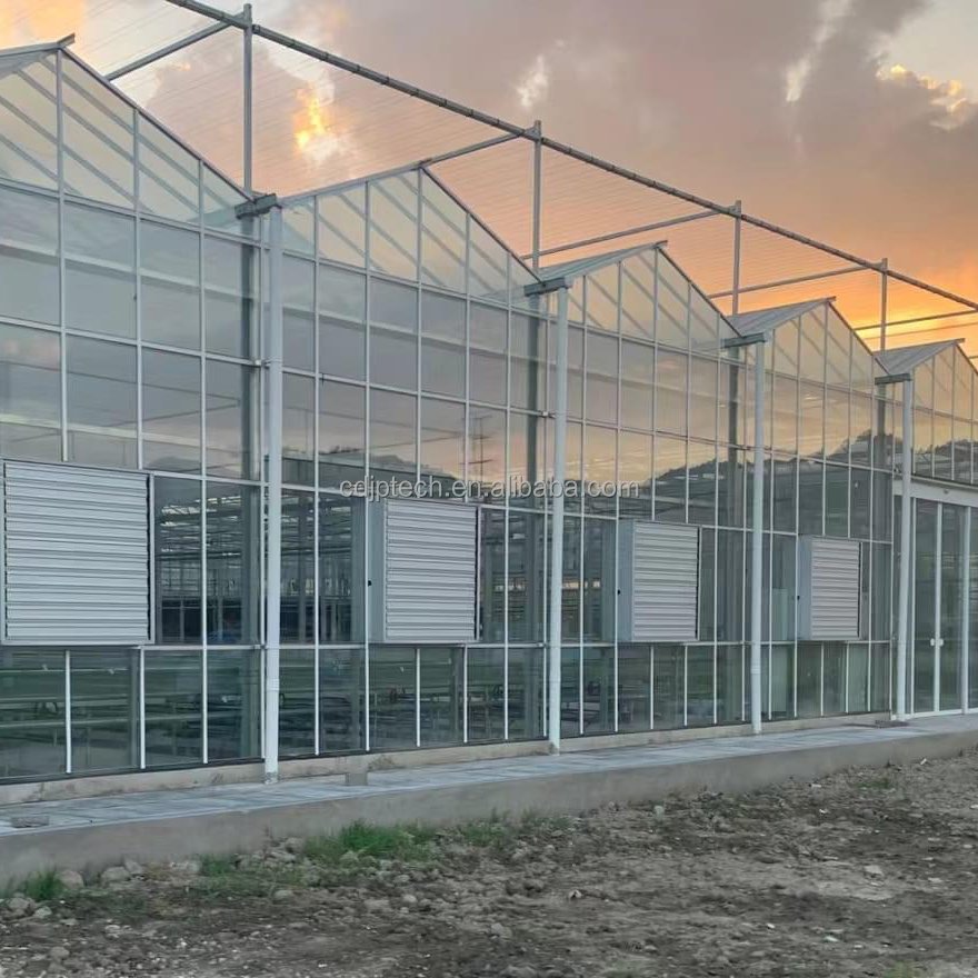 JIAPEI Large Agriculture Multi-Span Greenhouse with Motor Ventilation for Vegetable Growing