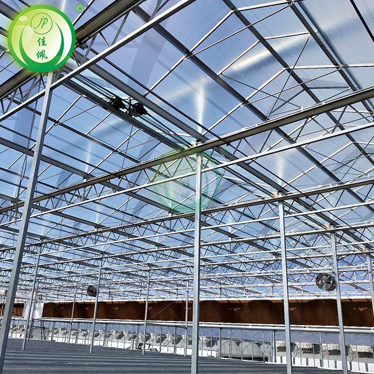 JIAPEI Large Agriculture Multi-Span Greenhouse with Motor Ventilation for Vegetable Growing
