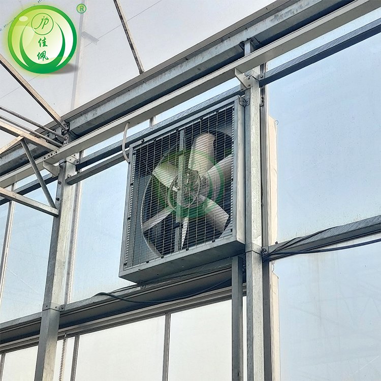 JIAPEI Large Agriculture Multi-Span Greenhouse with Motor Ventilation for Vegetable Growing