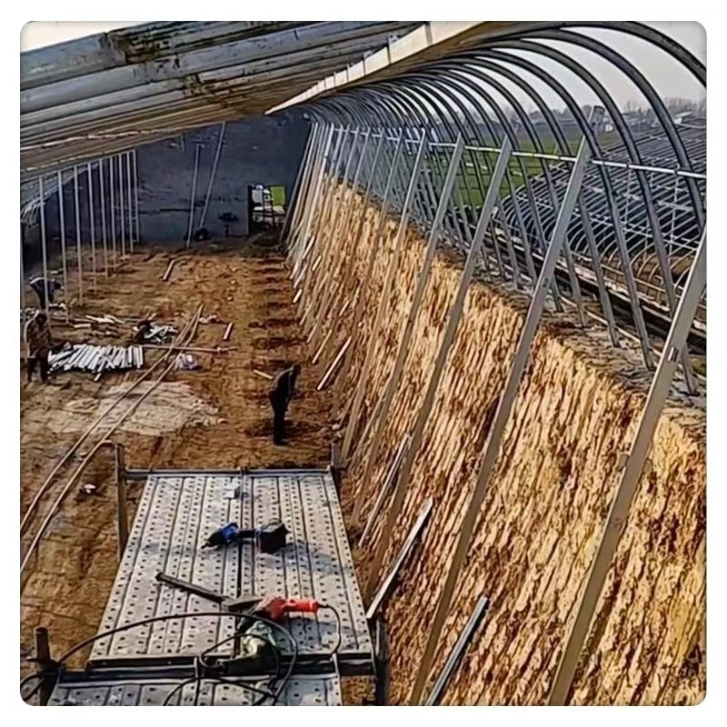 Low Price Tomato Agricultural Film Covering Made of Plastic Steel and PE for Plants Large Economical Solar Tunnel Greenhouse
