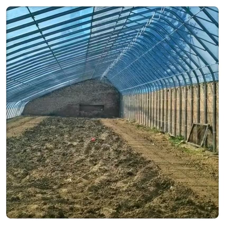 Low Price Tomato Agricultural Film Covering Made of Plastic Steel and PE for Plants Large Economical Solar Tunnel Greenhouse