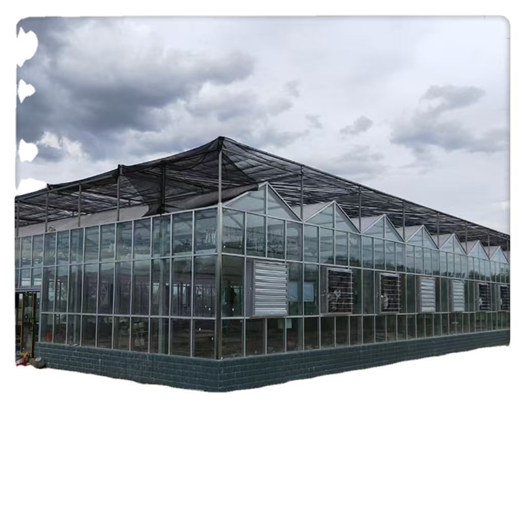 Commercial Agriculture Steel Farming Low Cost Hydroponic Features Plant Professional Custom Large Multi-Span Glass Greenhouses