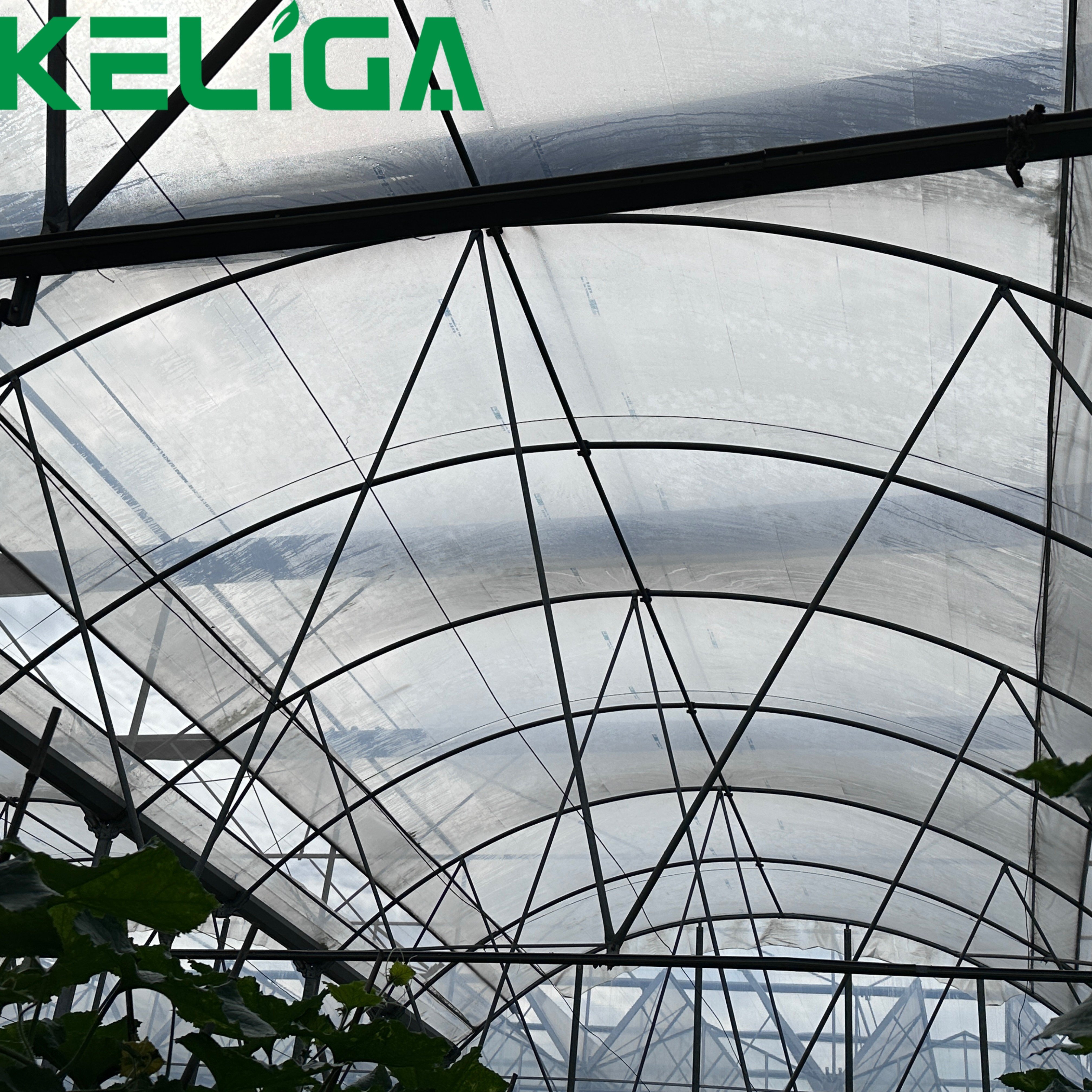 High-quality and durable plastic multi-span agricultural greenhouse for sale