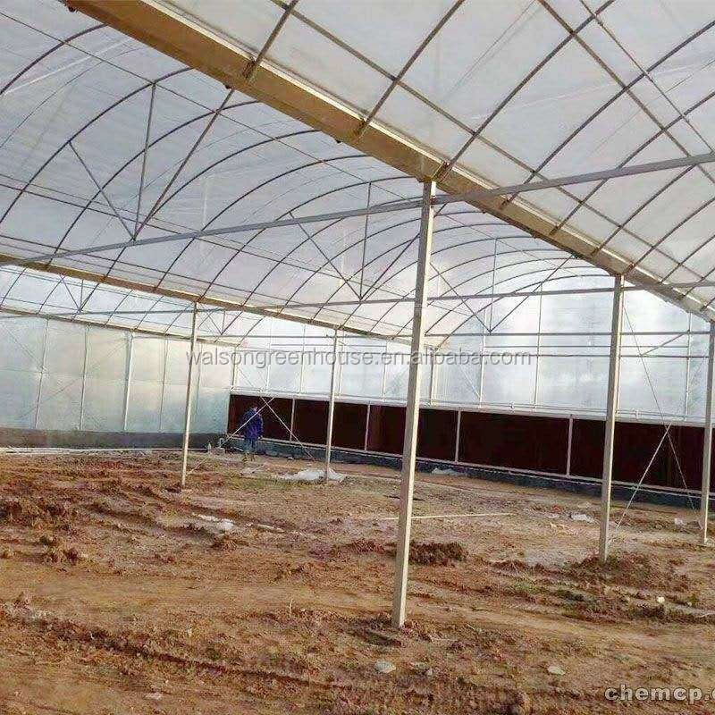 Agriculture multi-span arch plastic film Greenhouse strawberry greenhouse