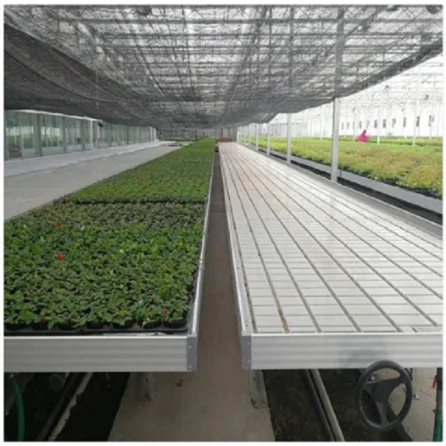 4X8 Ebb and Flow Seedbed Plant Drainage Bed Hydroponic Movable Rolling Bench System