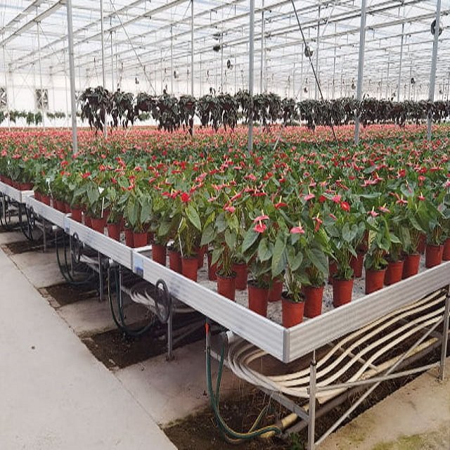 4X8 Ebb and Flow Seedbed Plant Drainage Bed Hydroponic Movable Rolling Bench System