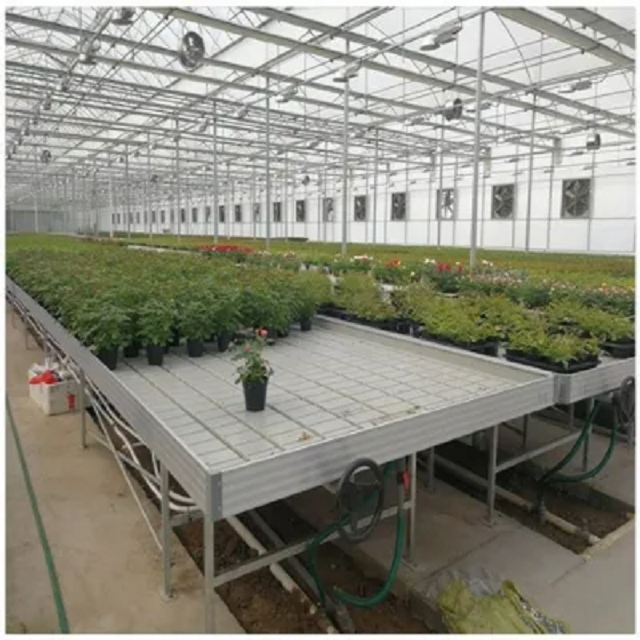 4X8 Ebb and Flow Seedbed Plant Drainage Bed Hydroponic Movable Rolling Bench System