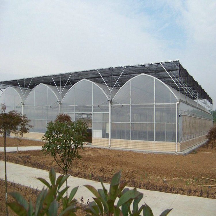 Agricultural hydroponic greenhouse with net