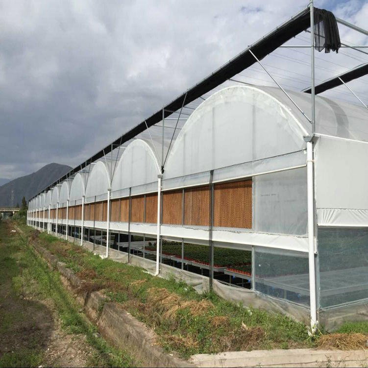 Agricultural hydroponic greenhouse with net