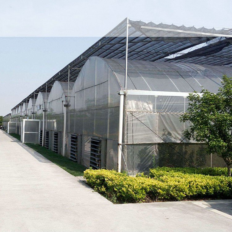 Agricultural hydroponic greenhouse with net