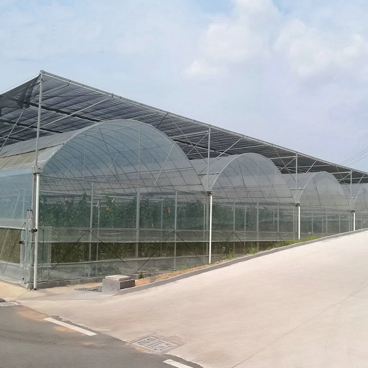 Agricultural hydroponic greenhouse with net