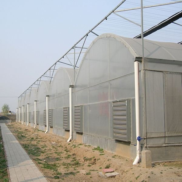 Eco-friendly PE clear vinyl roll for greenhouse 200 micron plastic film