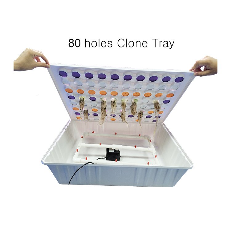 agricultural greenhouses aquaponics growing systems 128 holes clone tray 80 holes cloner box with cover collar water pump