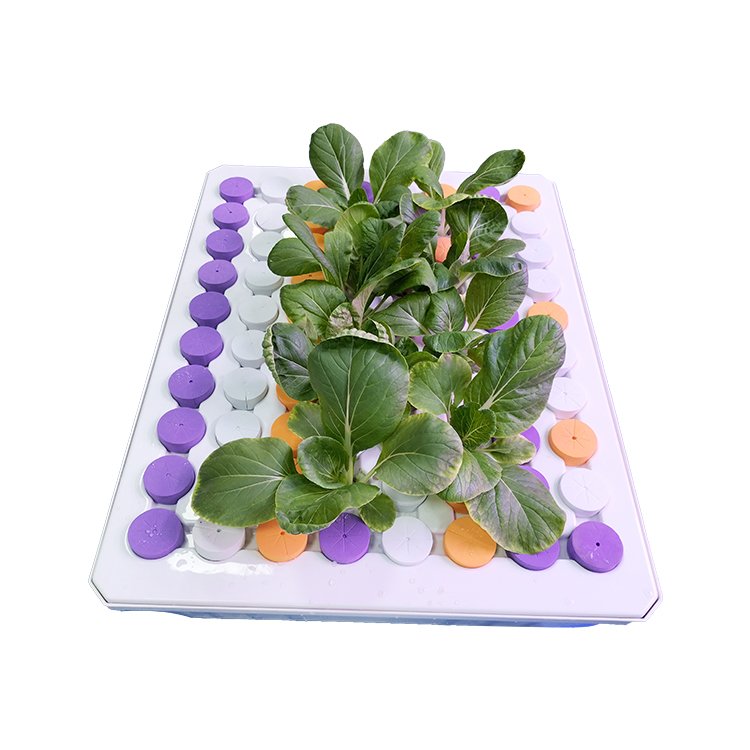 agricultural greenhouses aquaponics growing systems 128 holes clone tray 80 holes cloner box with cover collar water pump
