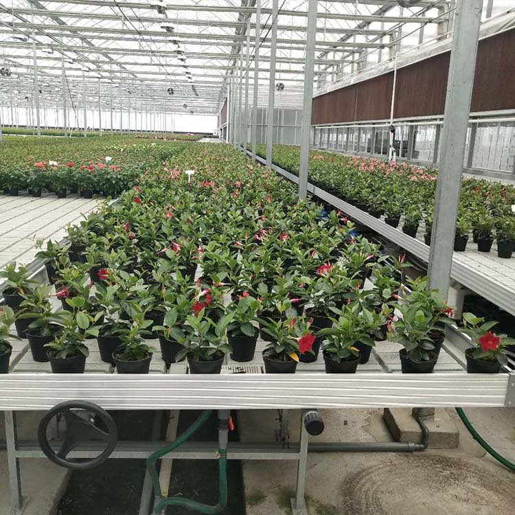 Baolida Agriculture seedbed nursery system bench tidal flow tray greenhouse ebb flow rolling bench ebb
