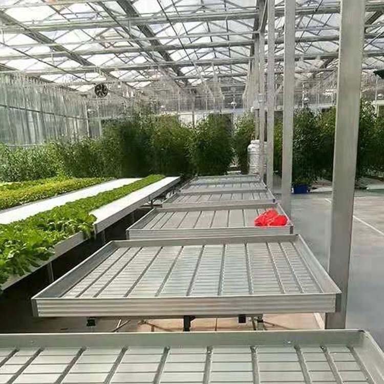 Baolida Agriculture seedbed nursery system bench tidal flow tray greenhouse ebb flow rolling bench ebb