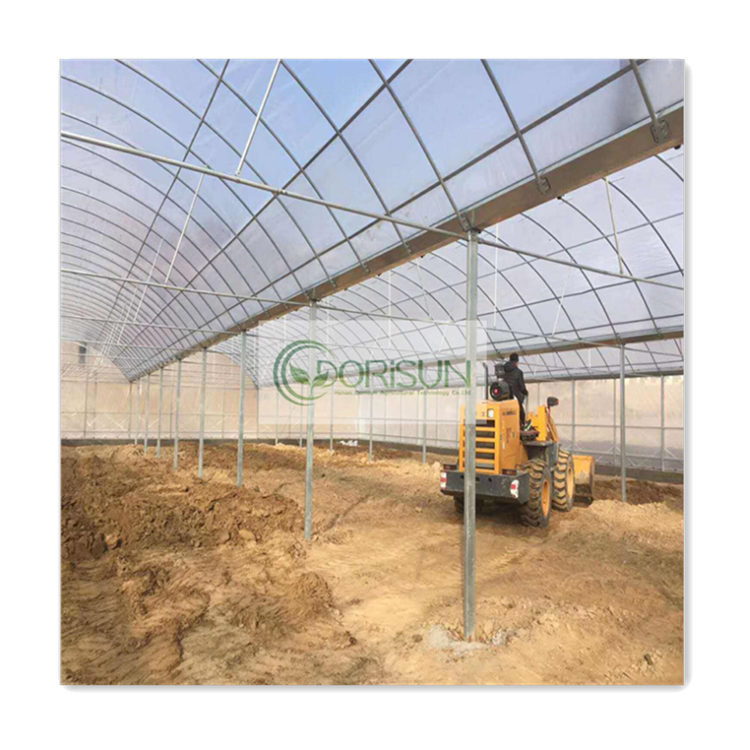 Corner Fertigation System Polycorbonate 12X14 Mirror Terrace Banana 20X29 Mobile Tent Alveoles Greenhouse