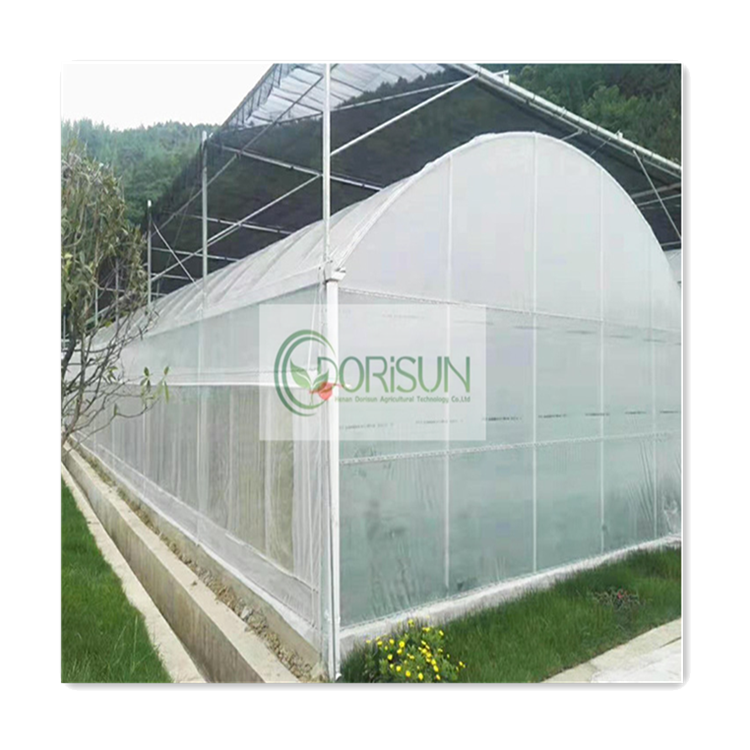 Corner Fertigation System Polycorbonate 12X14 Mirror Terrace Banana 20X29 Mobile Tent Alveoles Greenhouse