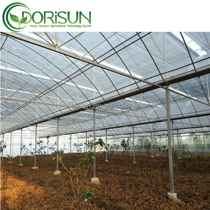 Corner Fertigation System Polycorbonate 12X14 Mirror Terrace Banana 20X29 Mobile Tent Alveoles Greenhouse