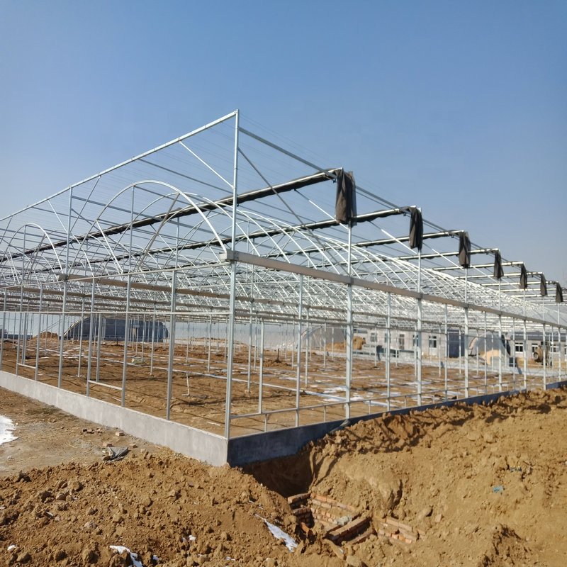 Agriculture multi-span arch plastic film Greenhouse tomato greenhouse and strawberry greenhouse turnkey project